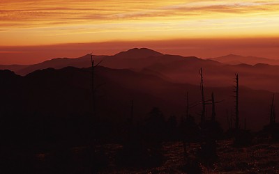 지리산의 美