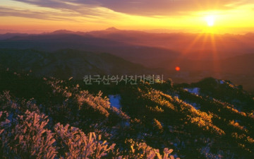 빙화 피어 좋던 날,,1