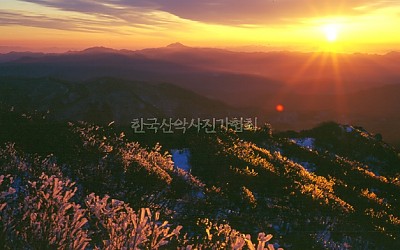 빙화 피어 좋던 날,,1
