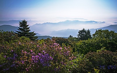 좋은 아침