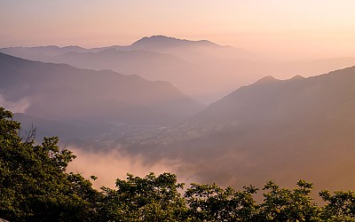 오도산 !