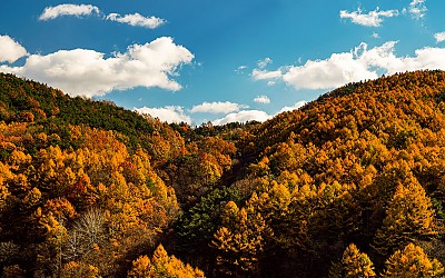 호두산 !