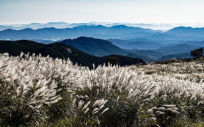황매산 !