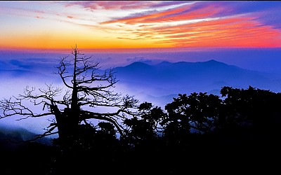 함백산 여명