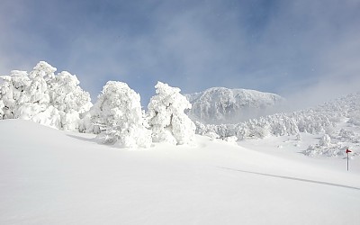 한라산3