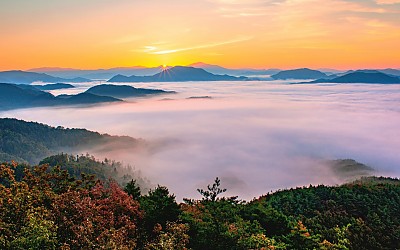 진안골 여명