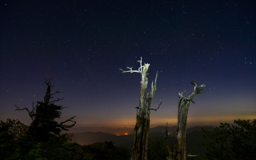 잠못 이루던날 밤