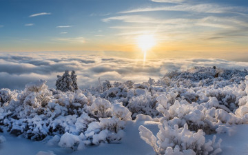 운해가 높은 날에...