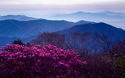 철 지난 사진