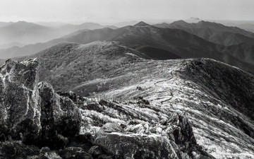 성급한 성격....