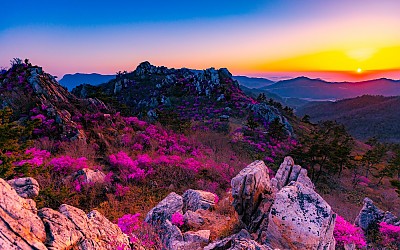 보석이  드글드글 합니다..