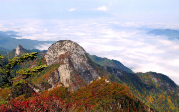 지난 가리봉의 가을단풍