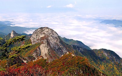지난 가리봉의 가을단풍