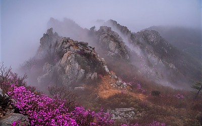 주작산의비경