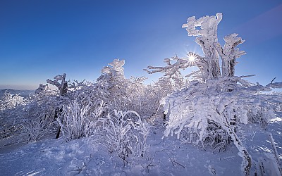 태백산