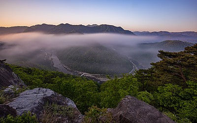 봄 산정