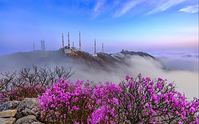 팔공산