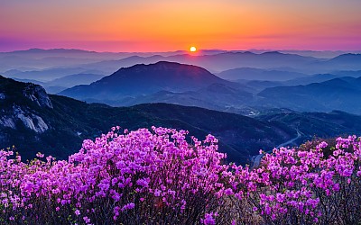 황매산