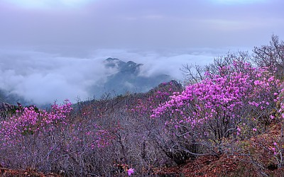 낙조대