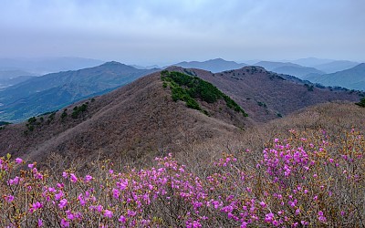 고리봉