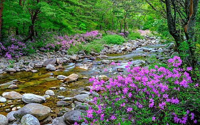 달궁계곡