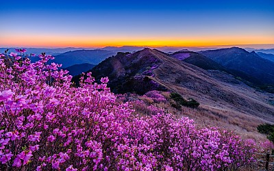 화왕산