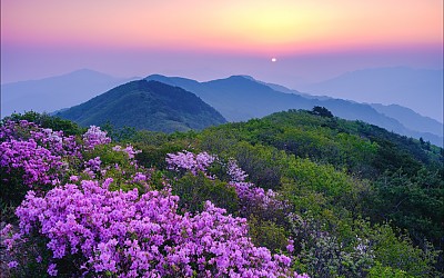 고리봉