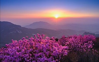 황매산