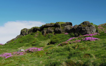 한라산의 추억 2