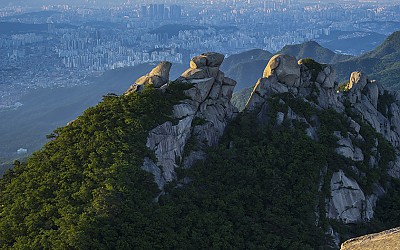 다르게 본 서울의 봄