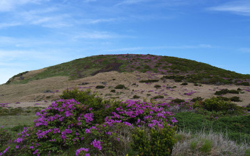 한라산의 추억 1
