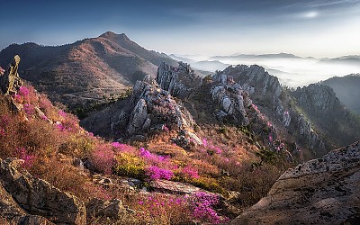 주작산