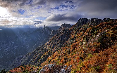깊어 가는 계절에