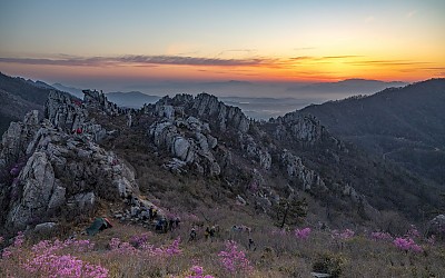 오늘 아침 요랬습니다~