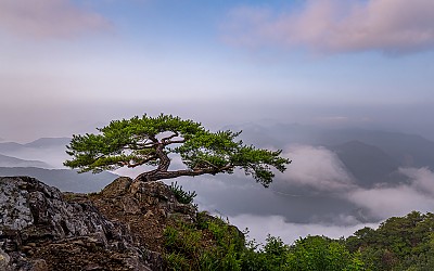 어름 산정