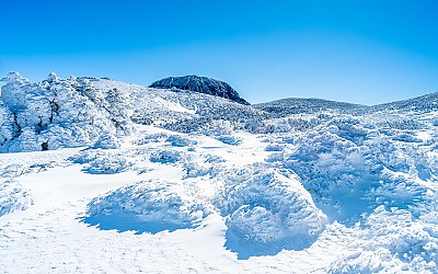 한라산 !
