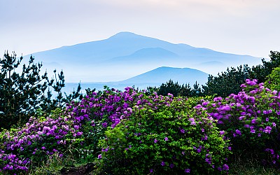 한라산 !