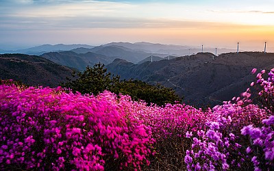 한우산 !