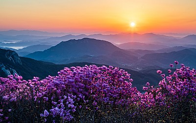 황매산 !