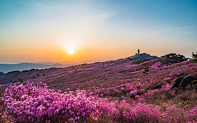 비슬산 !