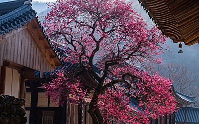 지리산 !