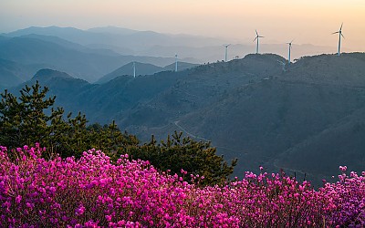 한우산 !