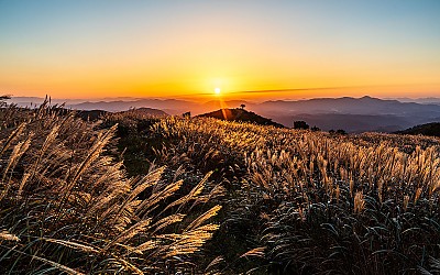 황매산 !