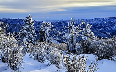 태백산 다녀왔습니다.