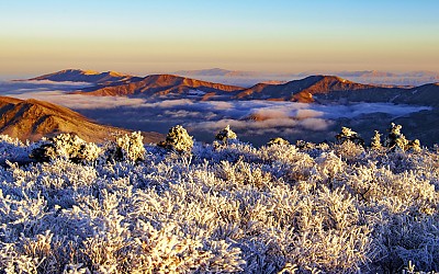 태백산 댕겨왔습니다.