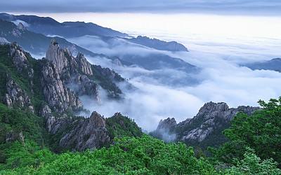 신록의 계절