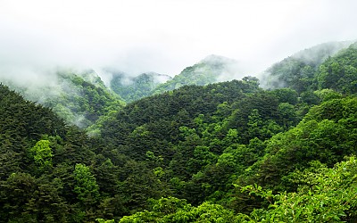 지리산을 오르면서