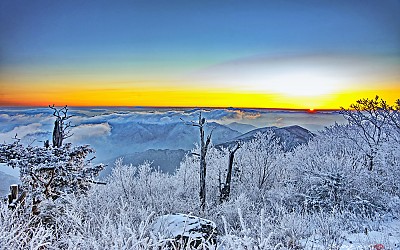 상고대피는아침에