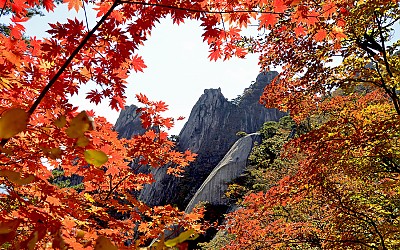 도봉산의 가을