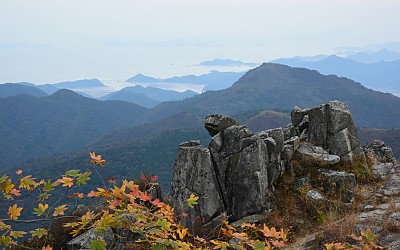 제암산.